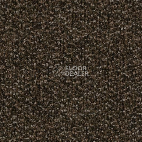 Грязезащитные покрытия Forbo Coral Classic 4744 Espresso фото 1 | FLOORDEALER